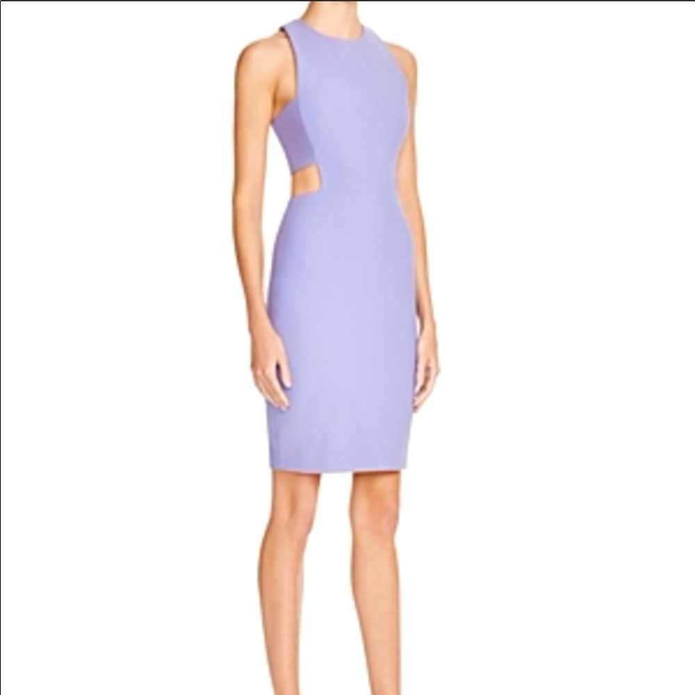 Elizabeth and James Phoenix cut out dress.